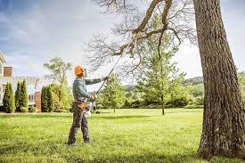 Best Aeration Services  in Strafford, MO