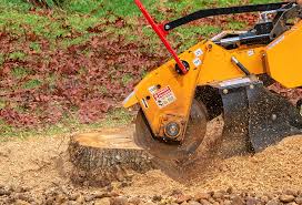 Best Lawn Renovation and Restoration  in Strafford, MO