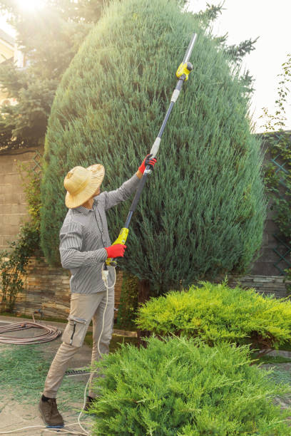 Best Lawn Pest Prevention  in Strafford, MO